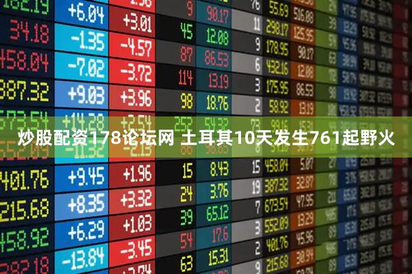 炒股配资178论坛网 土耳其10天发生761起野火